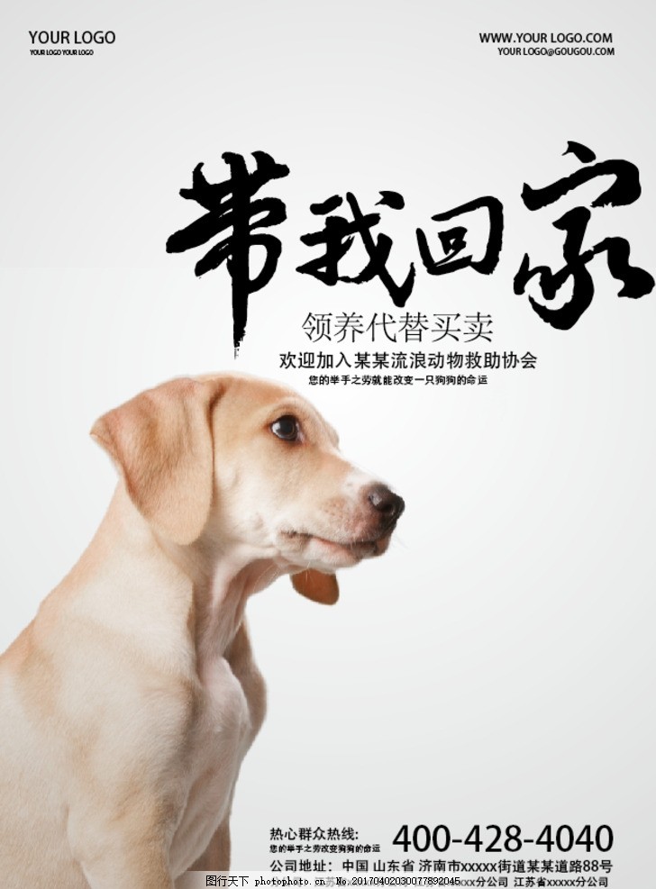 公益广告 公益海报 公益活动 流浪动物 流浪宠物 救助 救援 带我回家 宠物 领养 流浪狗 流浪猫 流浪小动物 关爱流浪动物 动物保护协会 海报 关爱小动物 爱护小动物 关爱宠物 关爱动物 宠物领养广告 设计 广告设计 海报设计 AI