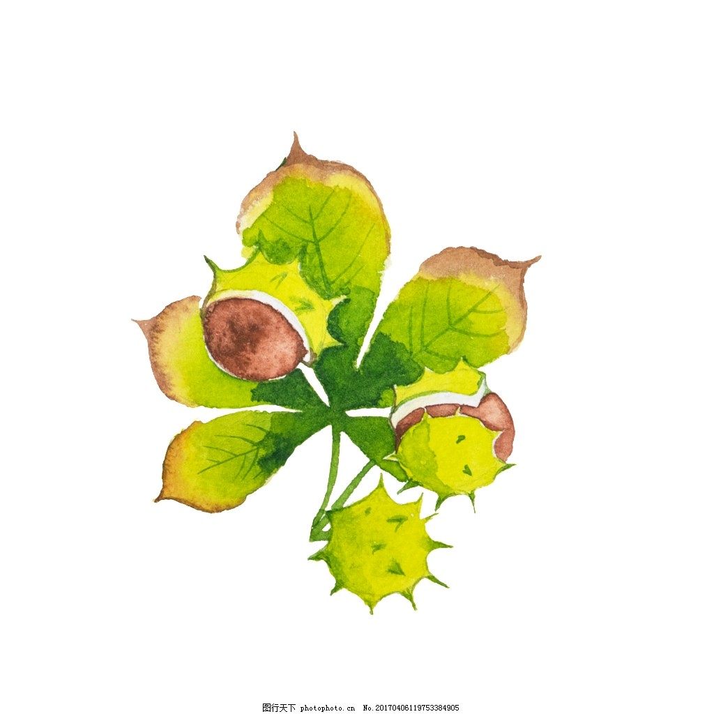 绿叶绿植彩绘手绘唯美素材