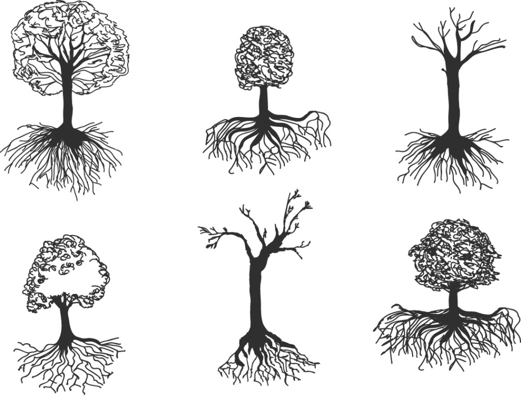 手绘素描树木图片