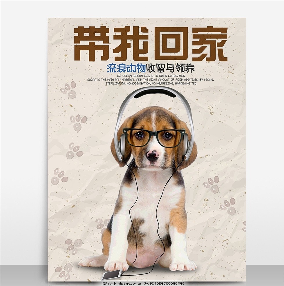 拉布拉多宠物狗领养 拉布拉多 神犬小七 疫苗驱虫已做 拒绝病