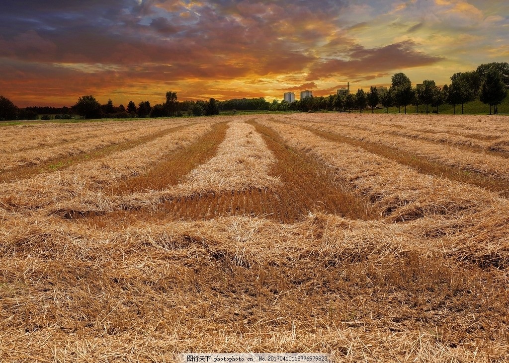 秸秆手工制作易学