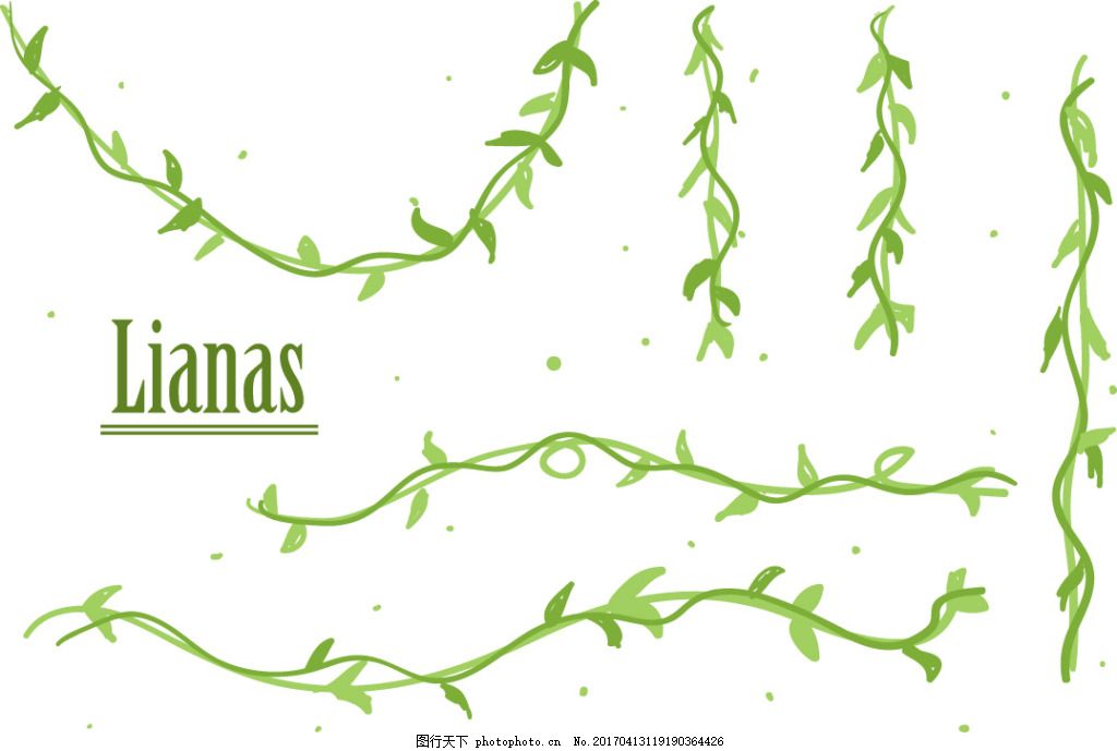 矢量藤蔓素材