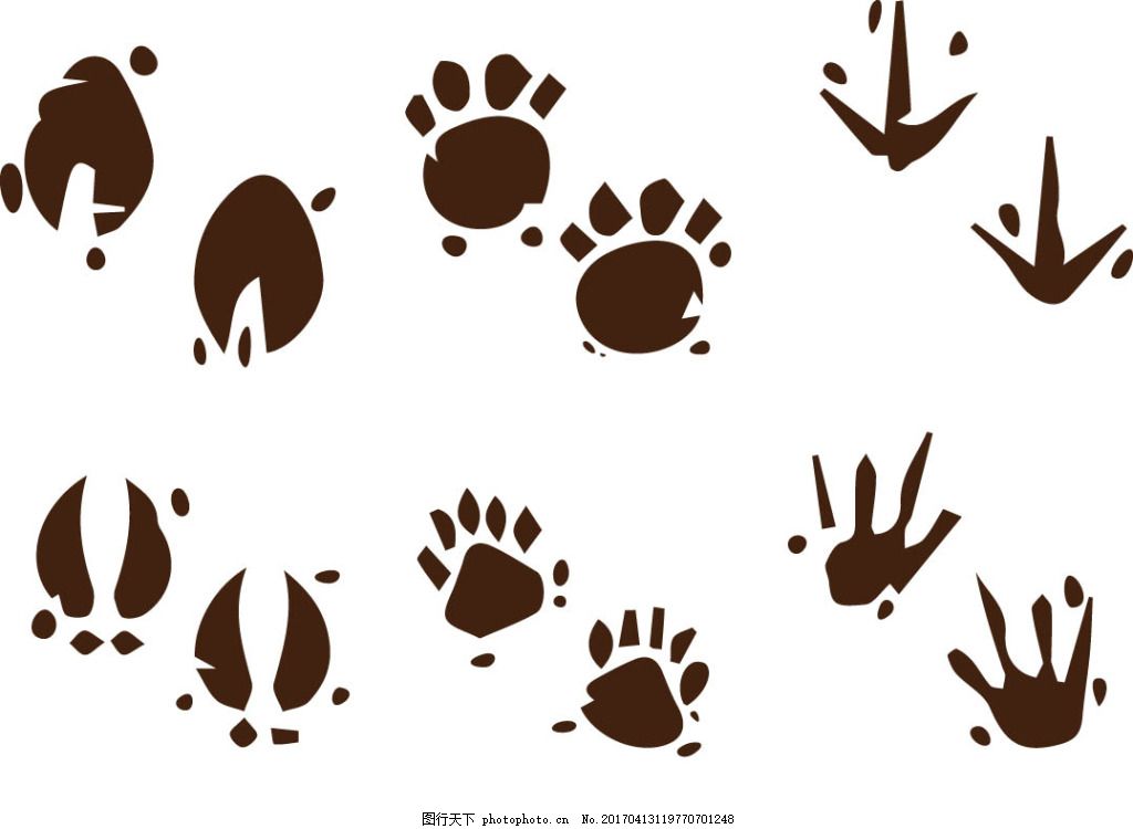 矢量动物爪子 卡通动物 动物素材 手绘动物 矢量素材 扁平动物