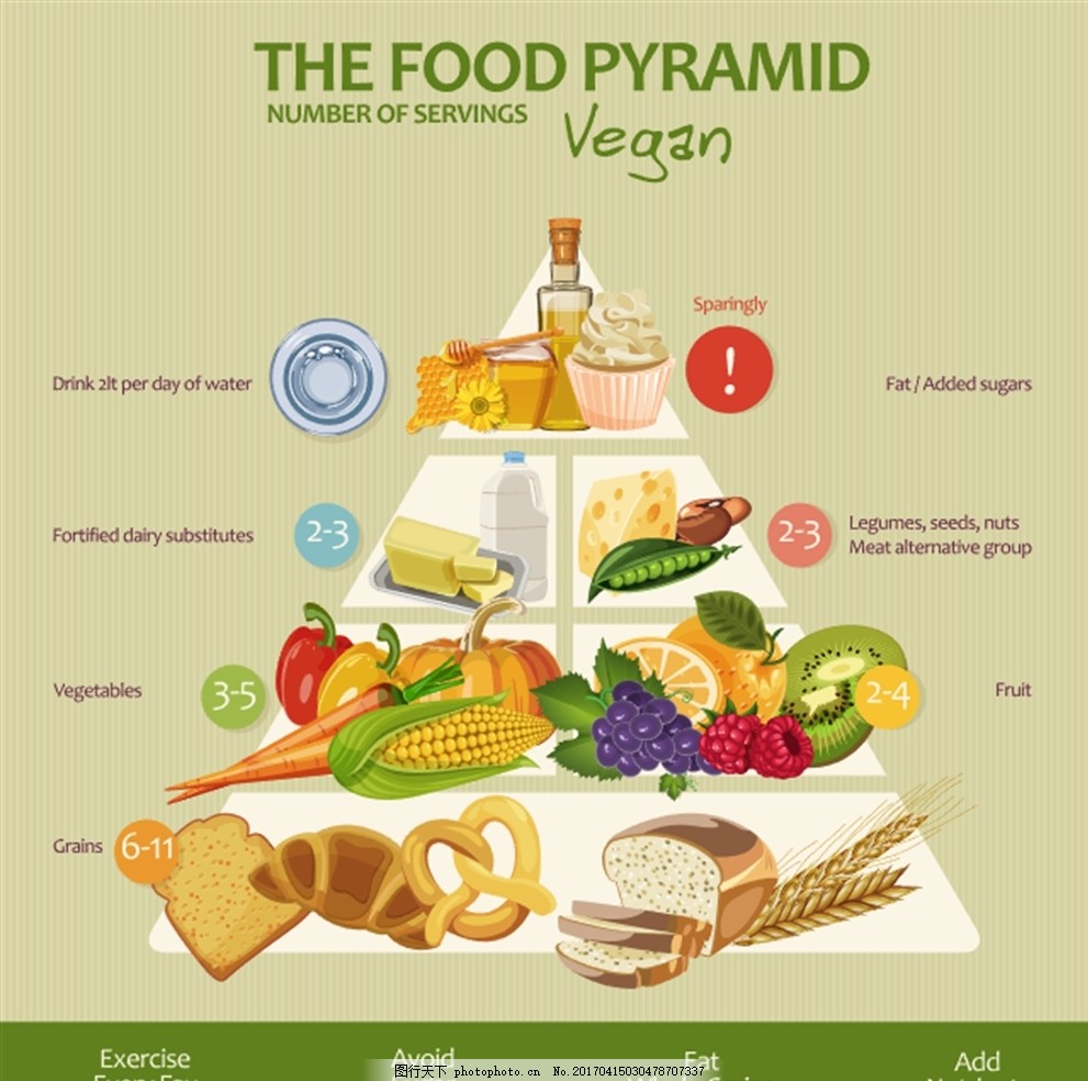 健康金字塔 营养分配 饮食金字塔 健康运动金字塔 金字塔 均衡饮食
