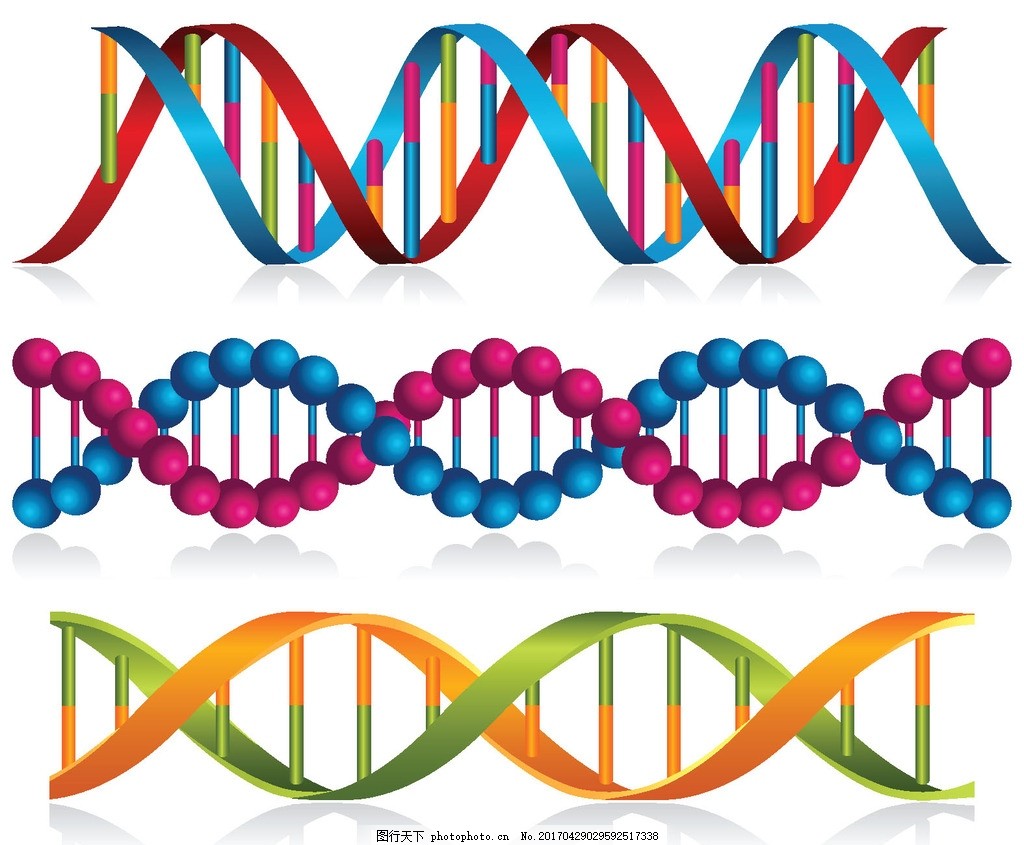 DNA的科学医学,生物 生物化学 生物学 技术细