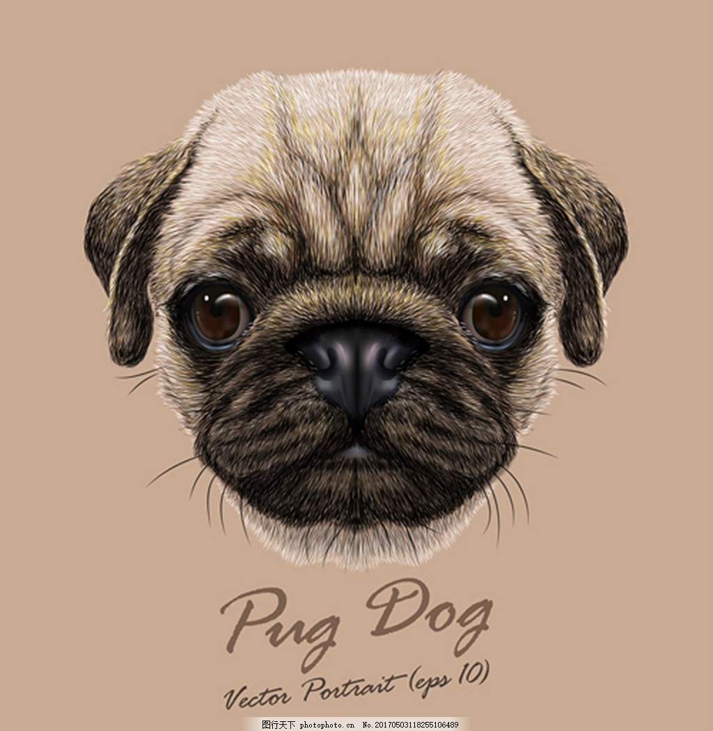 可爱小狗头像背景图