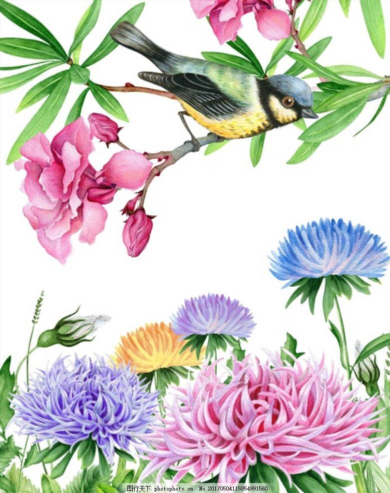 花 森系 插画 手绘 水彩画 花卉素材 花卉插画 清新 水彩花卉 花卉背景 剪纸 手绘水彩画 立体水彩画 卡片 贺卡请帖 请柬 邀请卡 喜帖 wedding 水彩 水彩花 水彩背景 婚礼素材 花环 婚礼花环 婚礼设计 婚礼卡片 婚礼 婚礼主题牌 婚礼迎宾 婚礼主题 PSD分层素材 花卉 设计 水彩 设计 PSD分层素材 PSD分层素材 300DPI PSD