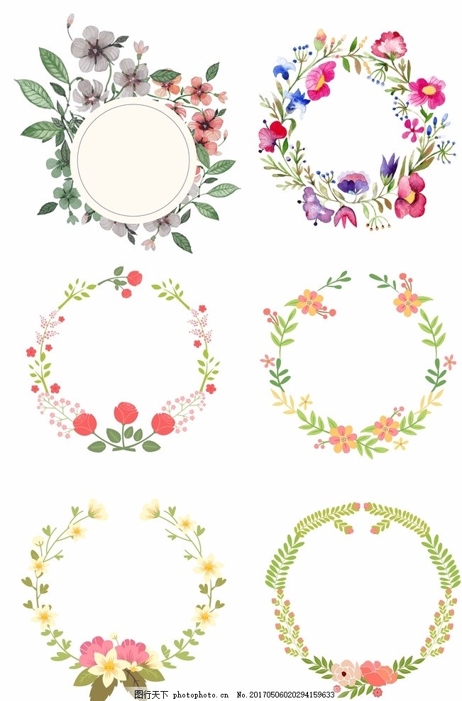 矢量花纹素材 植物花纹 花纹边框元素 装饰线条元素 装饰花纹 欧式