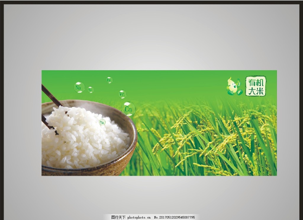 绿色 健康 水稻 大米