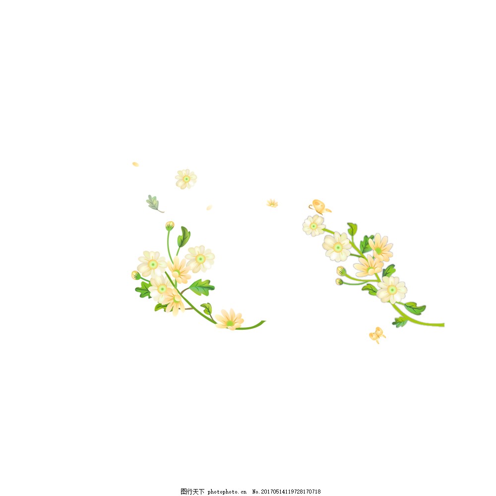 清新花朵绿叶图片