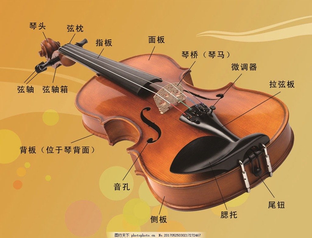 小提琴介绍展板图片