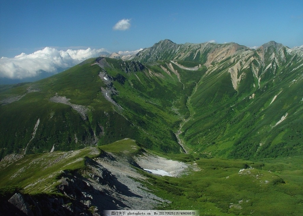 高山青