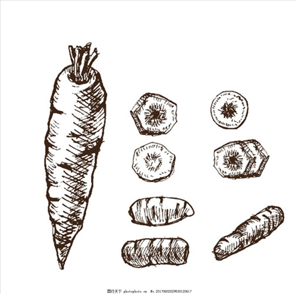 手绘素描胡萝卜插图,蔬菜 蔬菜超市广告 创意蔬