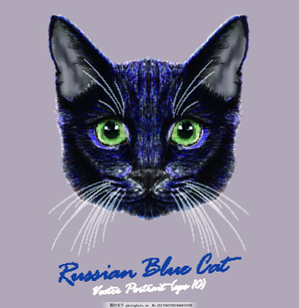 蓝色猫咪宠物猫头像品种矢量,绿色眼睛 名猫 可