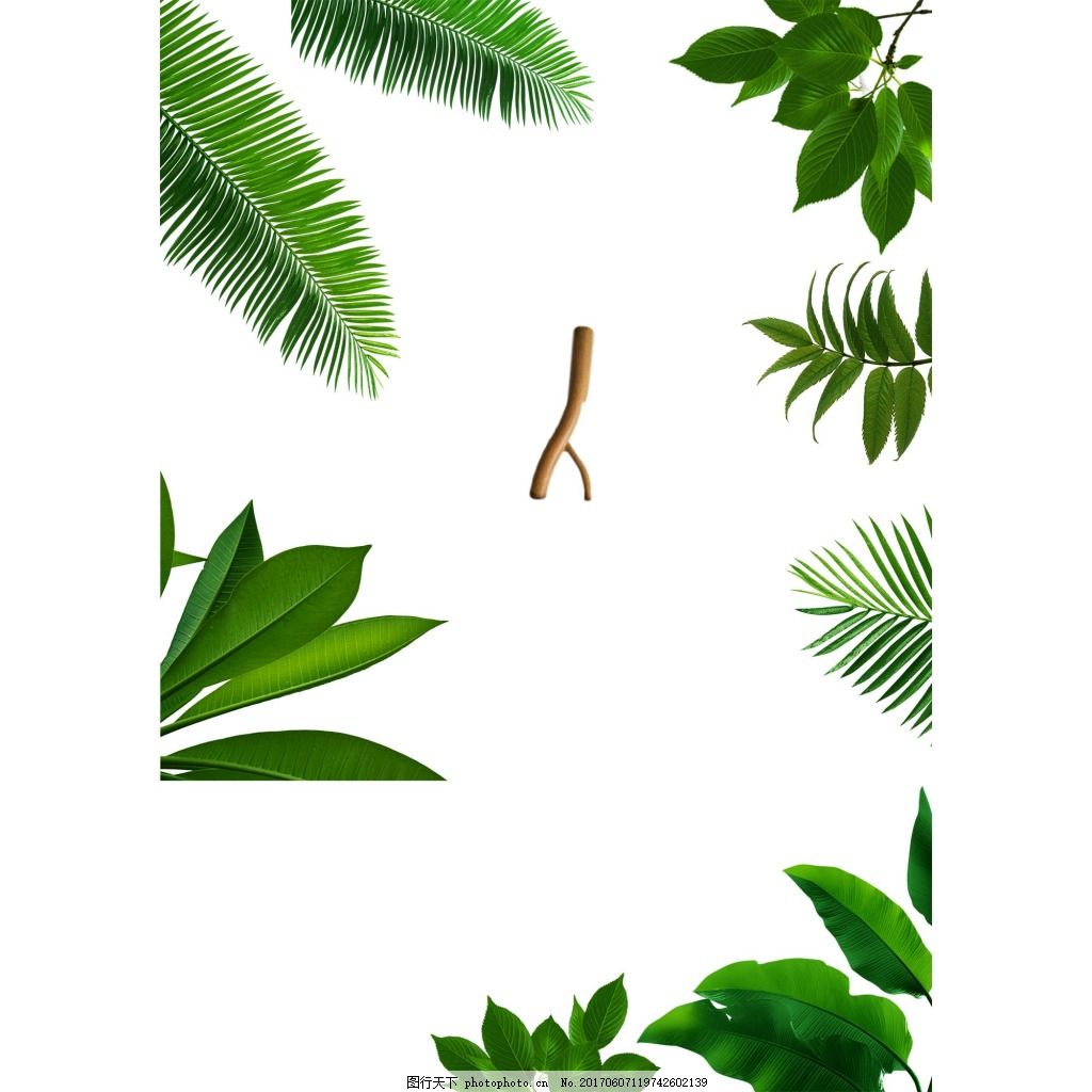 手绘绿色树叶元素,热带风情-图行天下图库