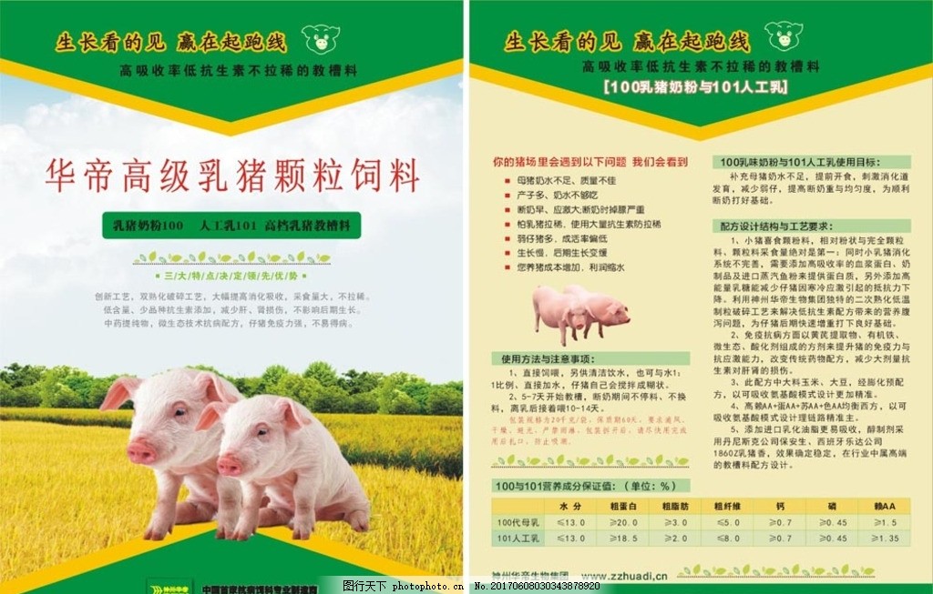 宠物宣传页,猪饲料 没有转曲 吃 彩页 大广 营养