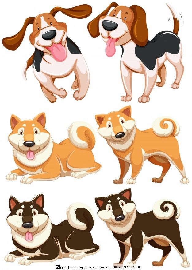 一套不同品种的狗,自然 可爱 绘画 设定-图行天