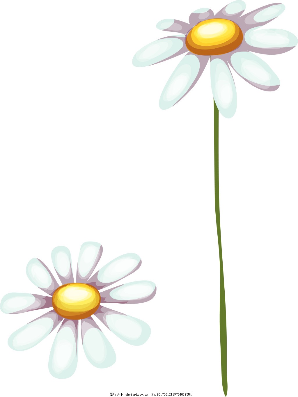 太阳花卡通植物矢量素材,白色 雏菊 花朵 绿叶 
