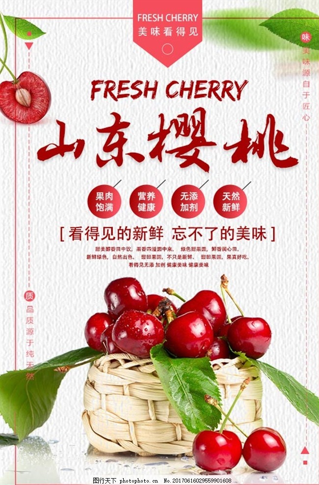 樱桃,车厘子 樱桃展板 樱桃文化 樱桃素材 樱桃