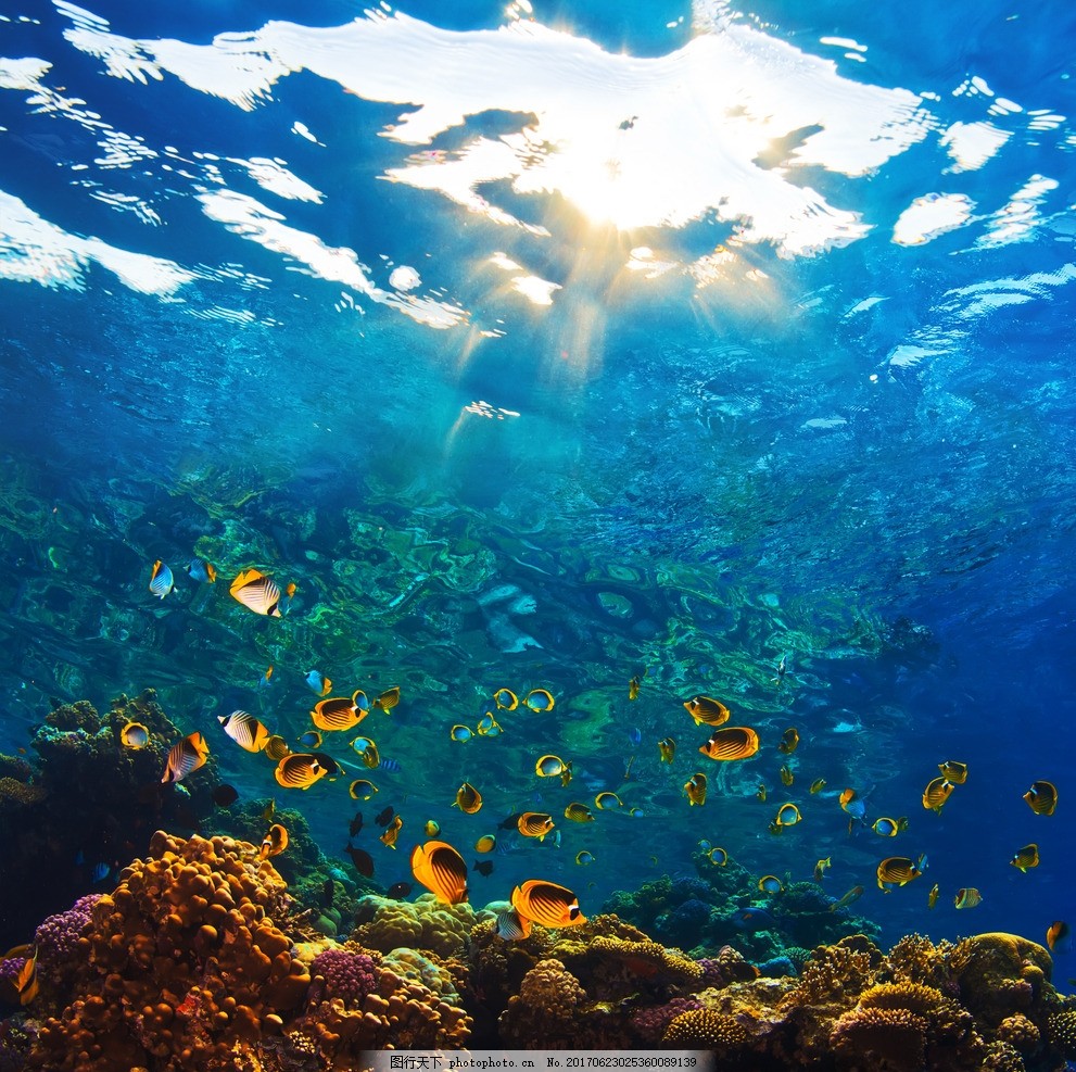 海底世界 3D海底世界 梦幻海底 海底素材 海底背景墙 立体海洋 个性海洋 海底之窗 时尚背景墙 深海 大 型海洋图 透明海洋 大气海洋 海洋总动员 意境海底 时尚海底 海底 科幻海底 精品海底 装饰画 高档背景海洋 海洋 3D海洋 3D 空间海洋 深海世界 JPG图片素材 摄影 生物世界 海洋生物 300DPI JPG