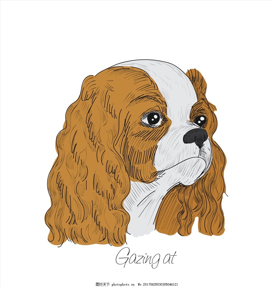 手绘线描宠物狗头矢量图下载 服装设计 男装设计 女装设计 箱包印花 男装印花 女装印花 童装印花 潮流服装印花 潮牌设计 面料印花 布料印花 狗 小狗 狗狗 手绘狗 卡通狗 线描狗 手绘宠物狗 动物头像 线描狗头像 精品矢量图案 设计 广告设计 服装设计 CDR