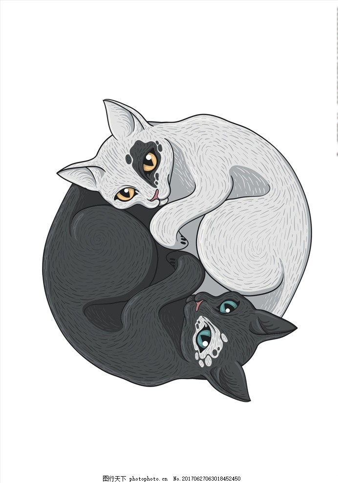 手绘线描黑猫白猫矢量图下载图片