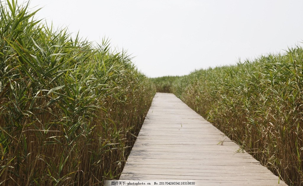 木道图片_其他_自然风景图行天下素材网