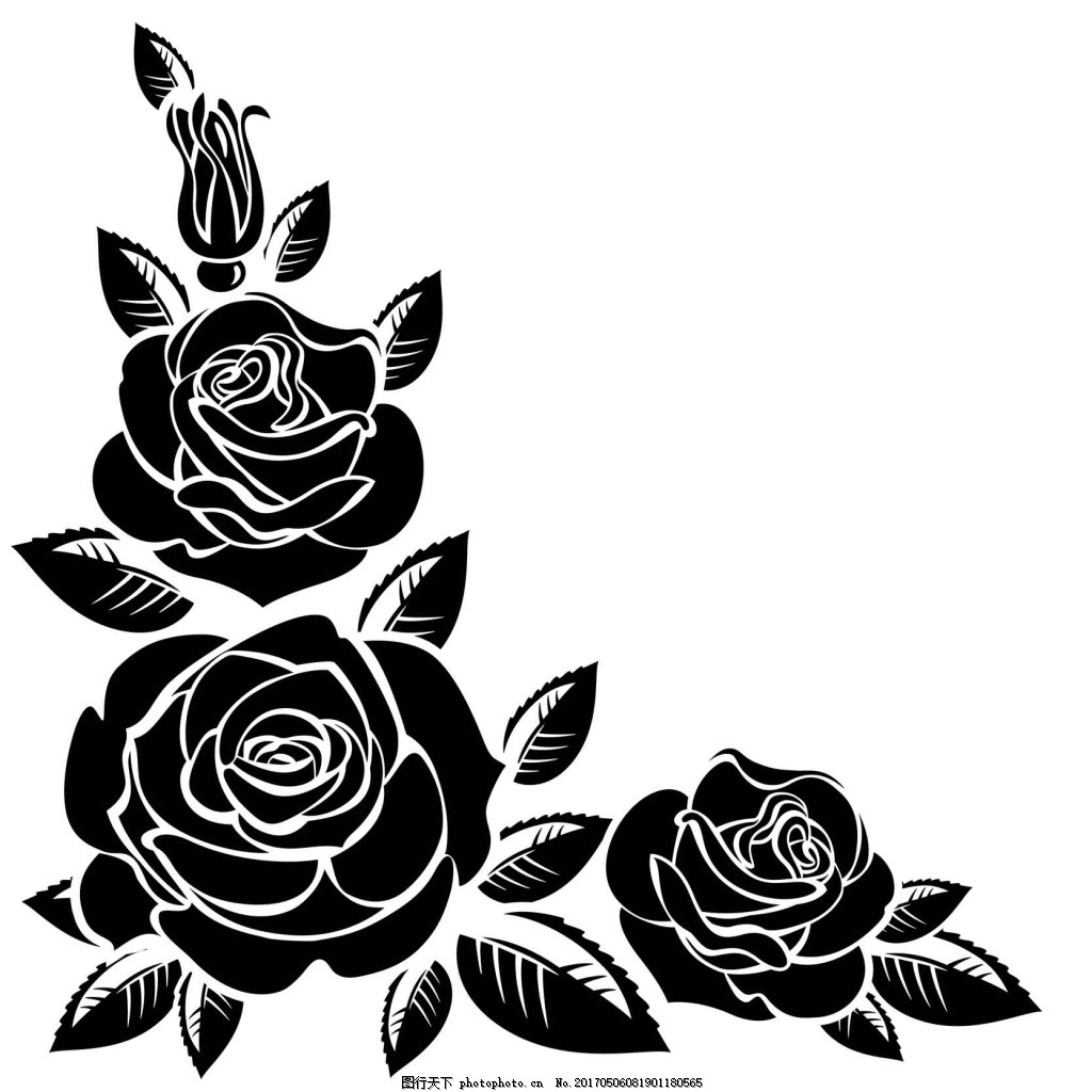 黑白玫瑰花图片_动漫卡通_插画绘画-图行天下素材网
