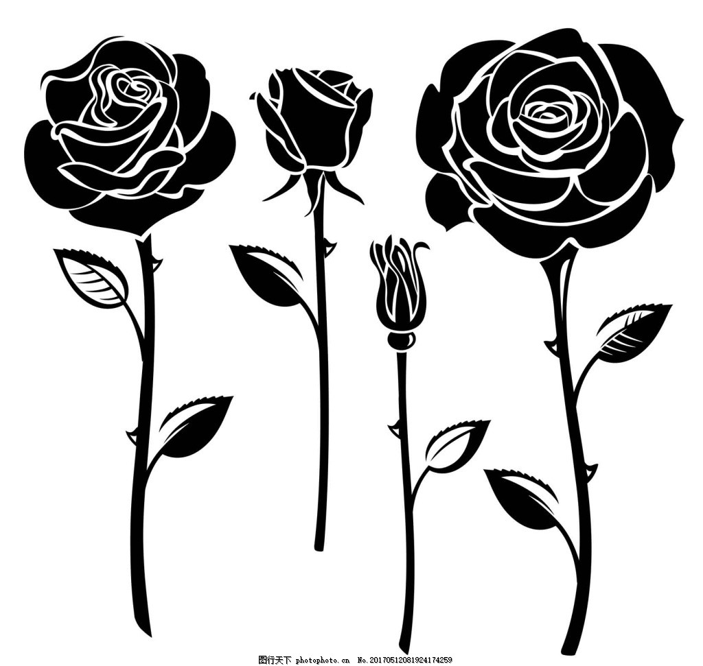 黑白手绘玫瑰花图片_动漫卡通_插画绘画-图行天下素材网