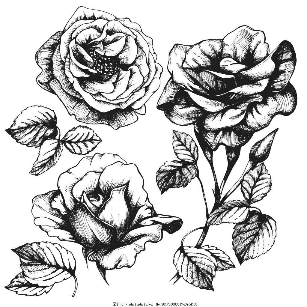 手绘玫瑰花图片素材-编号07873202-图行天下