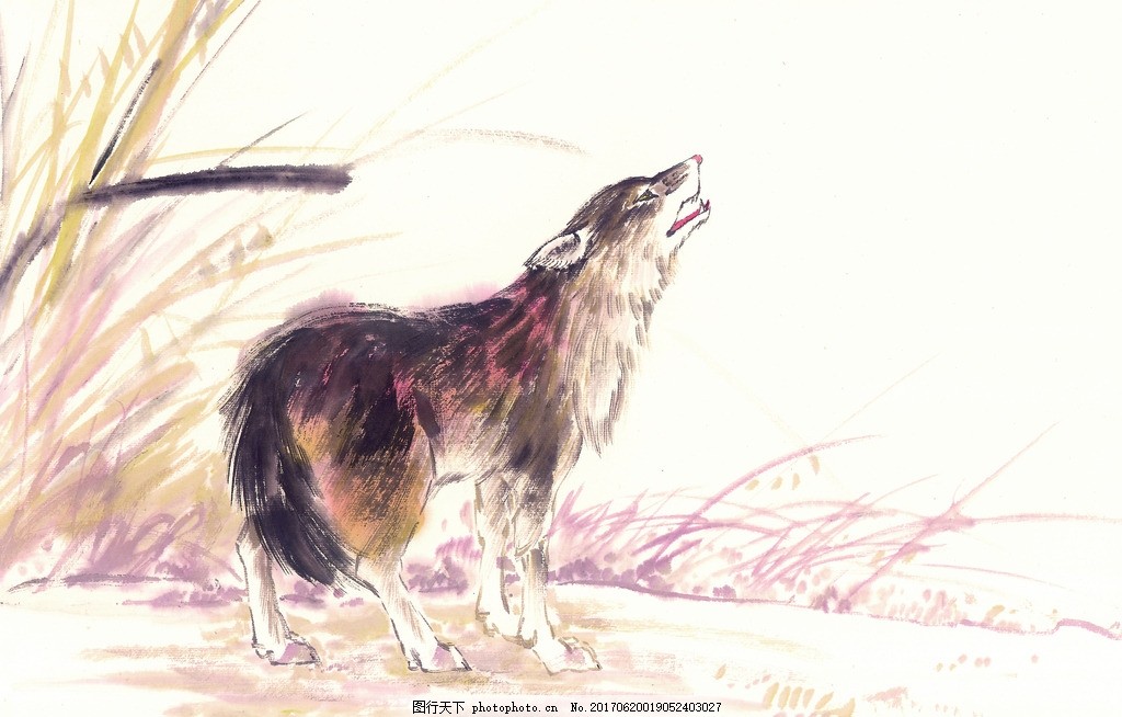 狼图片 绘画书法 文化艺术 图行天下素材网
